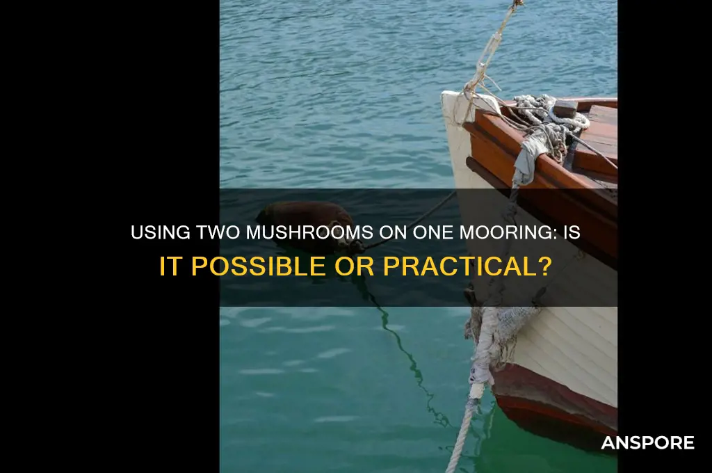 can you use two mushrooms on one mooring