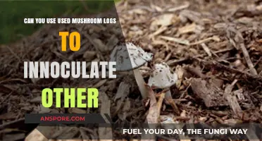 Reusing Mushroom Logs: Can Old Substrates Inoculate New Growth?