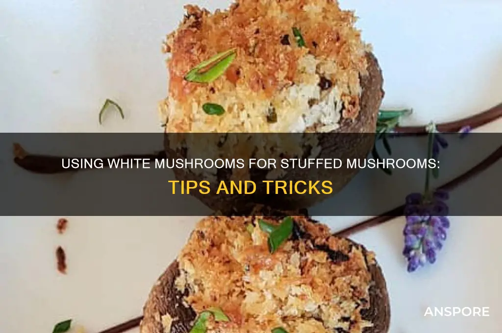 can you use white mushrooms for stuffed mushrooms
