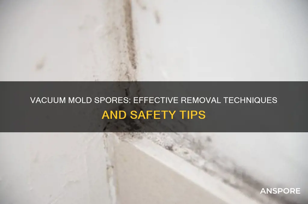 can you vacuum mold spores