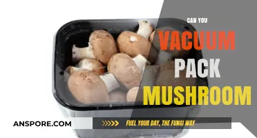 Vacuum Packing Mushrooms: A Freshness-Preserving Technique for Food Storage