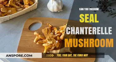 Vacuum Sealing Chanterelle Mushrooms: Preservation Tips and Techniques