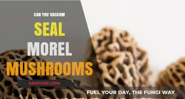 Vacuum Sealing Morel Mushrooms: Preservation Tips for Freshness and Flavor