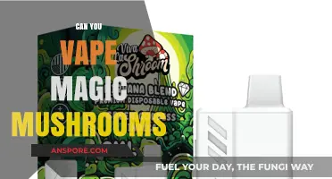 Vaping Magic Mushrooms: Risks, Effects, and Legal Considerations Explained