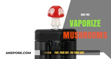 Vaporizing Mushrooms: Exploring the Possibility and Potential Benefits