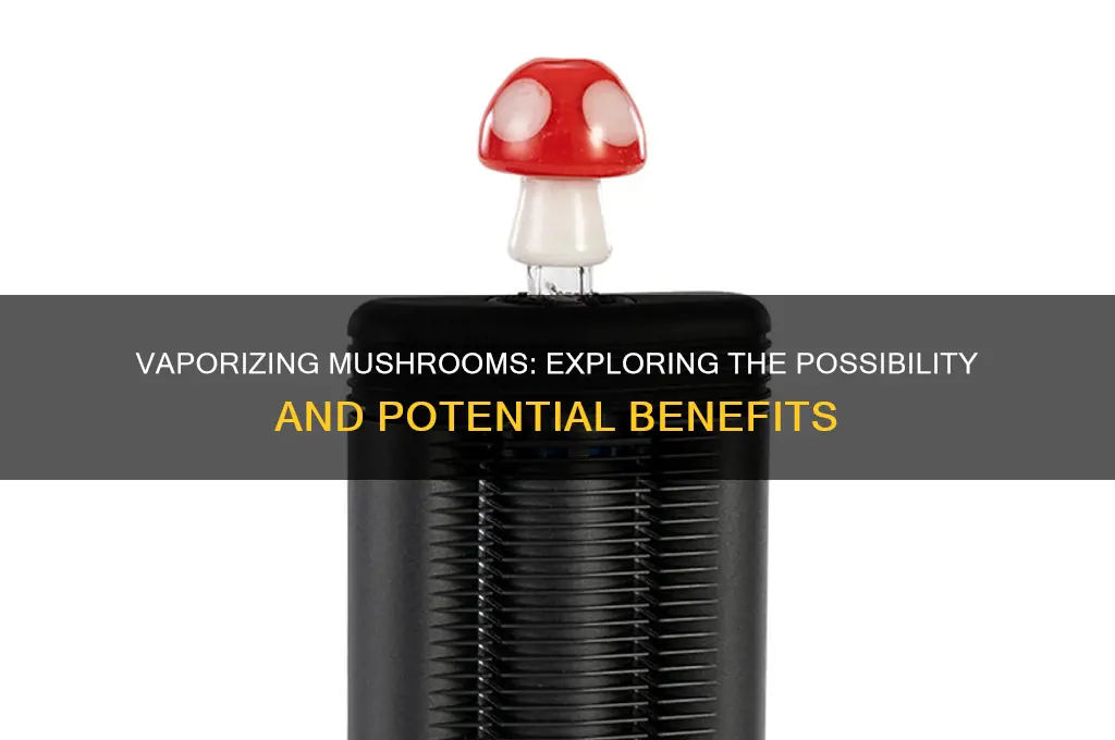 can you vaporize mushrooms