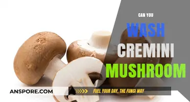Can You Wash Cremini Mushrooms? A Quick Guide to Cleaning