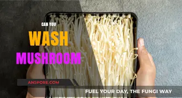 Can You Wash Mushrooms? Tips for Cleaning Without Damaging Them