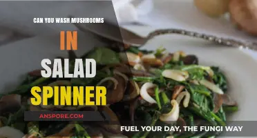 Washing Mushrooms in a Salad Spinner: A Handy Kitchen Hack