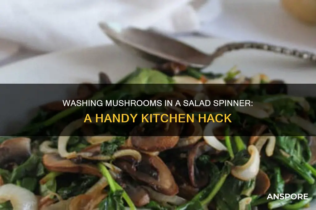 can you wash mushrooms in salad spinner