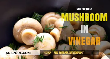 Washing Mushrooms in Vinegar: A Safe and Effective Cleaning Method?