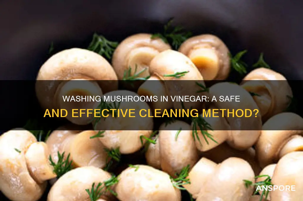 can you wash mushrooms in vinegar