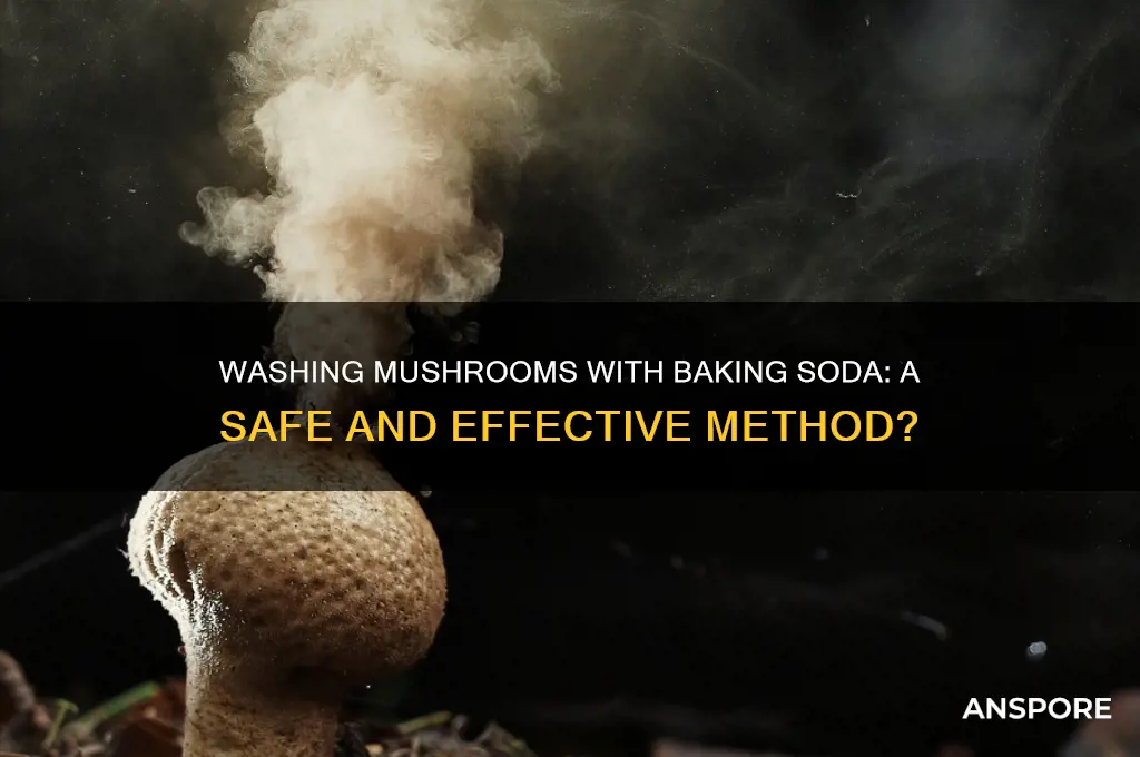 can you wash mushrooms with baking soda