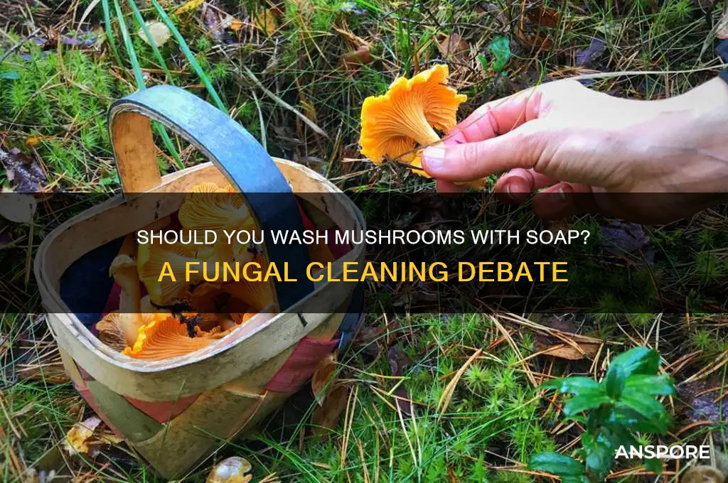 can you wash mushrooms with soap