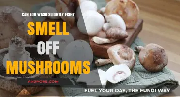Removing Fishy Odor from Mushrooms: Effective Washing Tips and Tricks