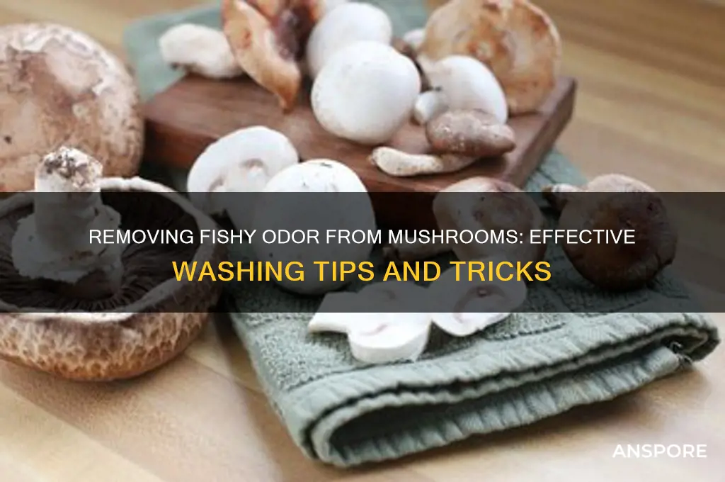 can you wash slightly fishy smell off mushrooms