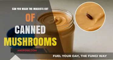 Washing Maggots from Canned Mushrooms: Effective Methods and Prevention Tips