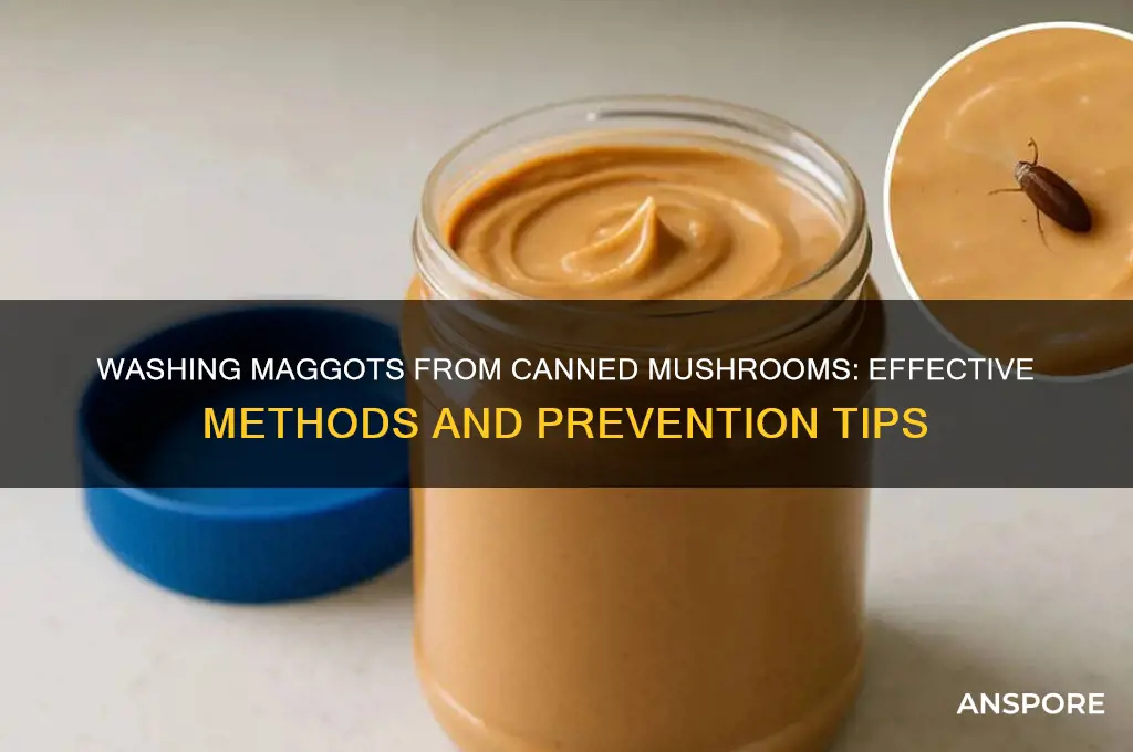 can you wash the maggots out of canned mushrooms