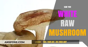 Can You Eat Raw Mushrooms? Safety, Benefits, and Risks Explained