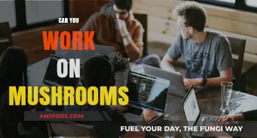 Exploring the Productivity Potential of Working While on Mushrooms