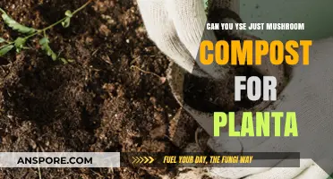 Mushroom Compost for Plants: Benefits, Limitations, and Best Practices