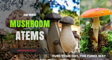 Can You Eat Mushroom Stems? A Tasty or Toxic Guide
