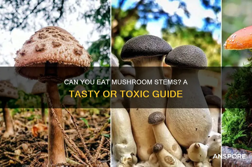 can youeat mushroom atems