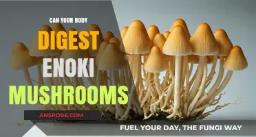 Can Your Body Digest Enoki Mushrooms? A Digestive Guide
