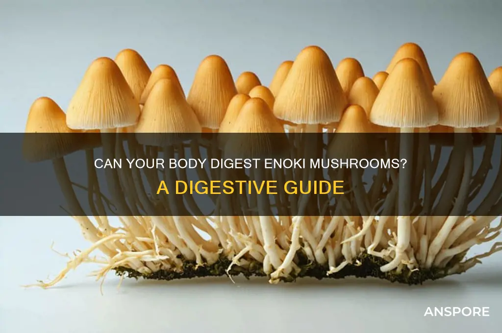 can your body digest enoki mushrooms