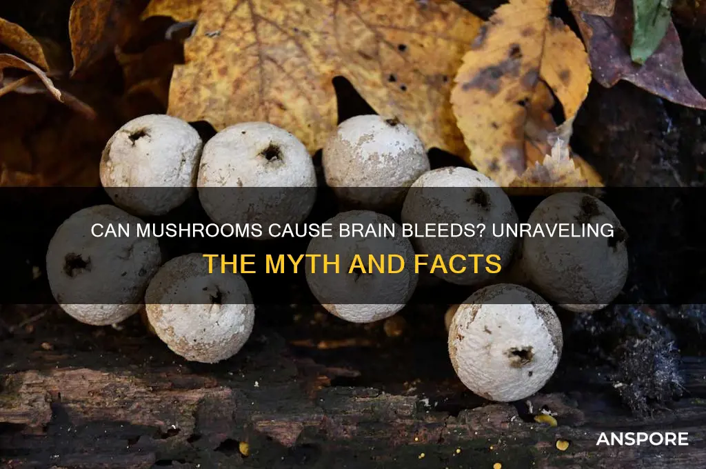 can your brain bleed from mushrooms