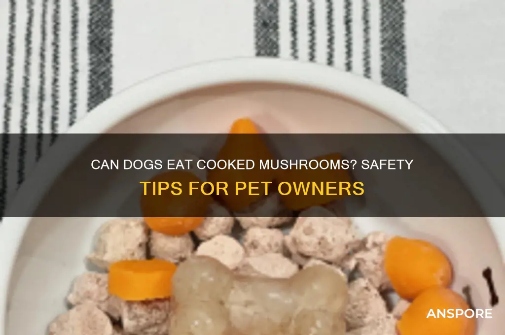 can your dog eat cooked mushrooms