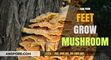 Can Mushrooms Grow on Feet? Uncovering the Truth Behind the Myth