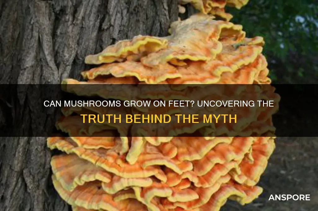 can your feet grow mushrooms