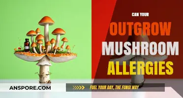 Outgrowing Mushroom Allergies: Is It Possible and What to Know