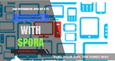 Transferring JPEGs Safely from a PC Infected with Spora Ransomware