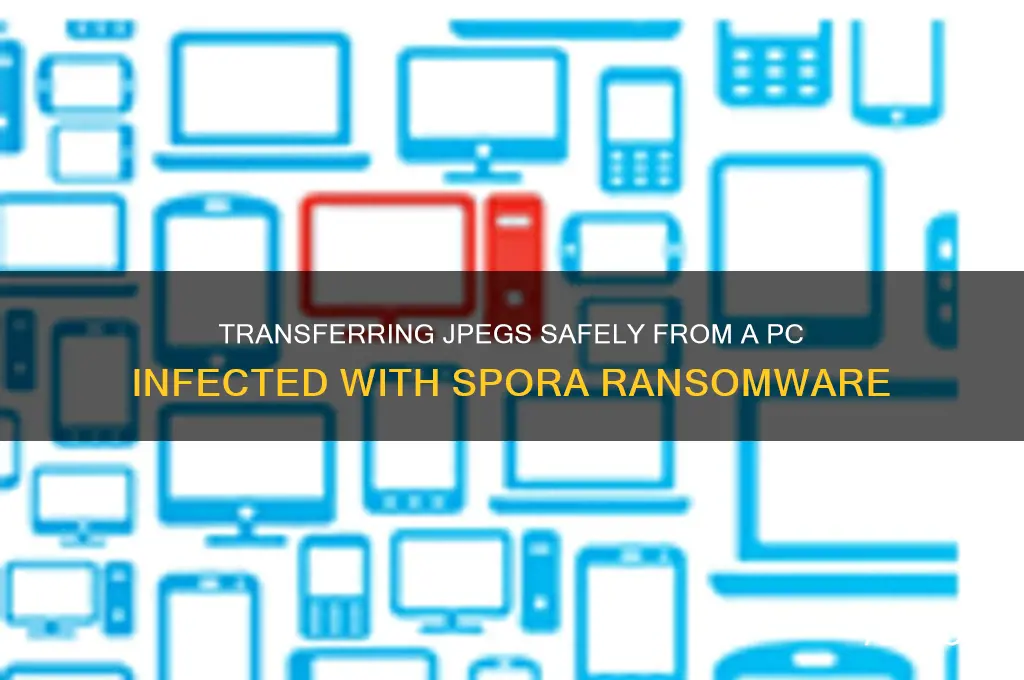 can youtransfer jpeg off a pc infected with spora