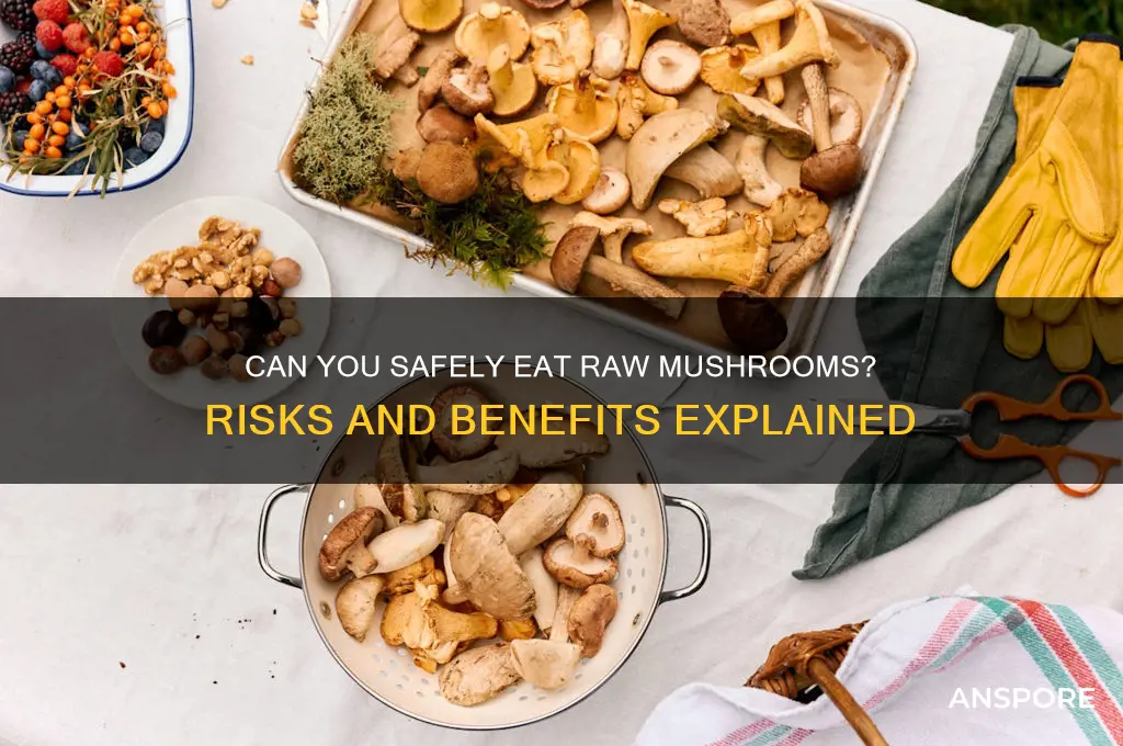 can yoy eat raw mushrooms