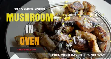 Dehydrating Porcini Mushrooms in the Oven: A Simple Guide