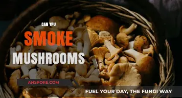 Can You Smoke Mushrooms? Exploring the Risks and Realities