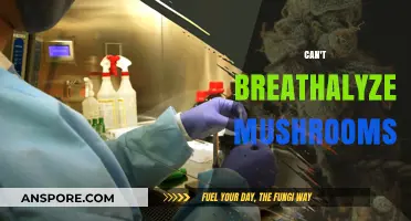 Why Breathalyzers Can't Detect Psilocybin: The Mushroom Mystery Explained