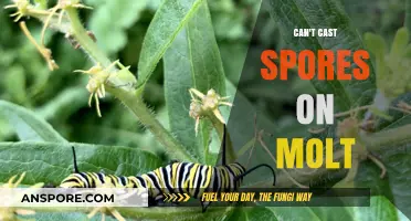 Why You Can't Cast Spores on Molt: Unraveling the Myth