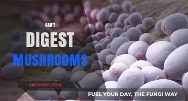 Why Some People Struggle to Digest Mushrooms: Causes and Solutions