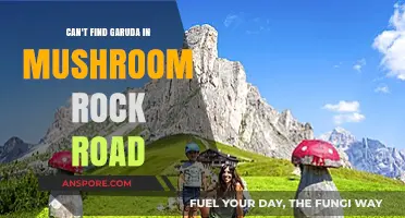 Where is Garuda? Uncovering the Mystery of Mushroom Rock Road