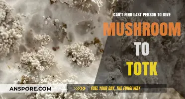 TotK Mushroom Quest: Locating the Final Recipient in Hyrule