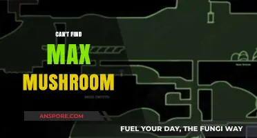 Where Are the Max Mushrooms? Tips for Finding This Elusive Fungus