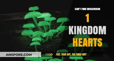 Where is Mushroom 1 in Kingdom Hearts? A Comprehensive Guide