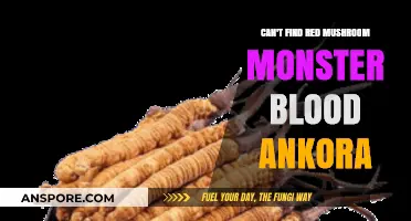 Where to Find Red Mushroom Monster Blood in Ankora