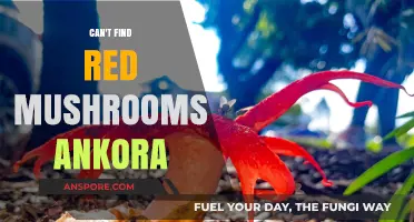 Where to Find Red Mushrooms in Ankora: A Comprehensive Guide