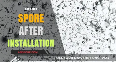 Troubleshooting Spore: Solutions for Missing Game After Installation