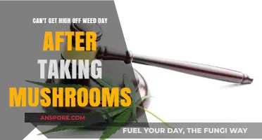 Cross-Tolerance Explained: Why Weed Feels Different After Mushroom Use